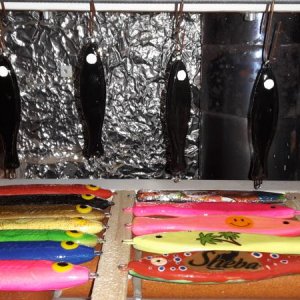 20160201 181849   Kopie