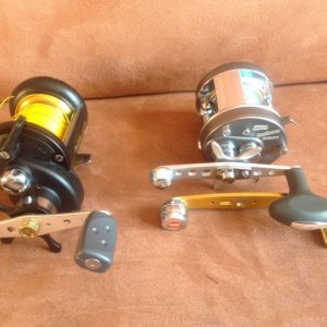 Penn 525 und Abu 5501 inshore