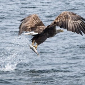 20160603-_DSC4197