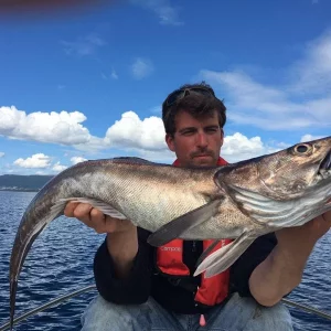 IMG-20160708-WA0001[1]