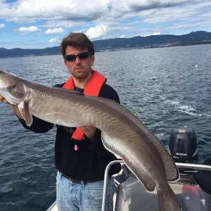 IMG-20160708-WA0002[1]