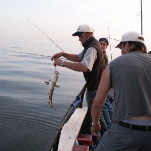 NAF_Kuttertour_04._05.09.04_037