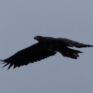 P1020463