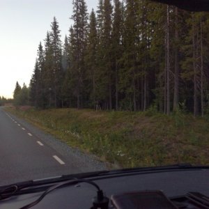 IMG_20160813_211242_1