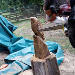 WhatsApp Image 2016-10-09 At 16.29.49