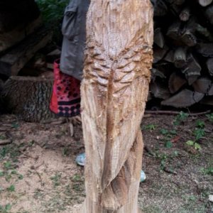 WhatsApp Image 2016-10-09 At 16.29.47