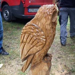 WhatsApp Image 2016-10-09 At 16.29.57