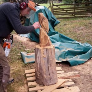 WhatsApp Image 2016-10-09 At 16.29.44