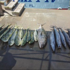 2016-12-12 16_58_58-Foto - Google Fotos