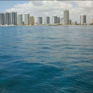 2016-12-12 16_59_37-Foto - Google Fotos