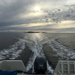 IMG_3368