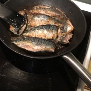 IMG_3371