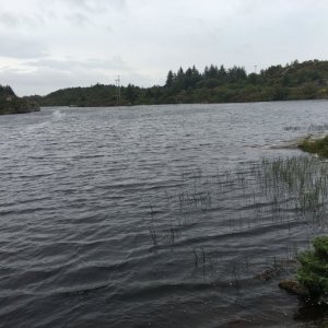 IMG_3422
