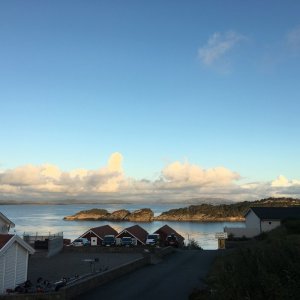 IMG_3441