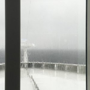 IMG_3466