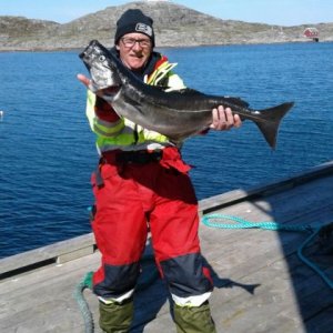 WhatsApp Image 2017-06-08 At 10.46.12