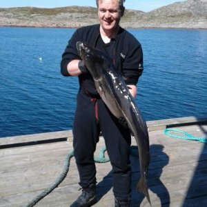 WhatsApp Image 2017-06-08 At 10.46.13