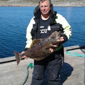 WhatsApp Image 2017-06-08 At 10.46.14