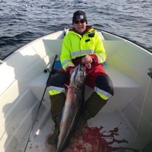 WhatsApp Image 2017-06-08 At 10.46.16(1)