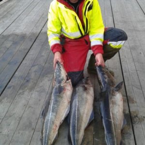 WhatsApp Image 2017-06-08 At 10.46.12(1)