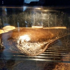 IMG-20170621-WA0031