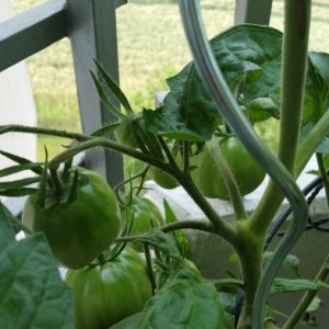 20170708_114231