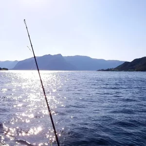 20170925_134108-1008x567