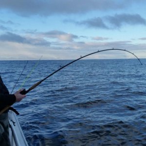 IMG-20180220-WA0020