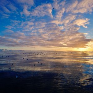 IMG-20180226-WA0029