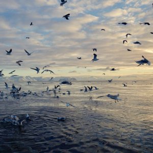 IMG-20180226-WA0028