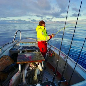 IMG-20180226-WA0019