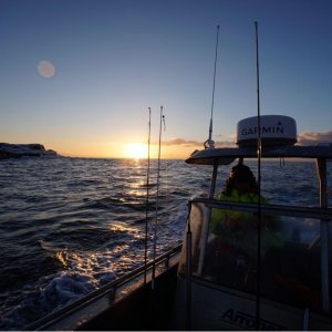 IMG-20180224-WA0012