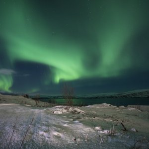 _DSC6855