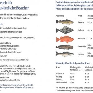 Fischexport Norwegen