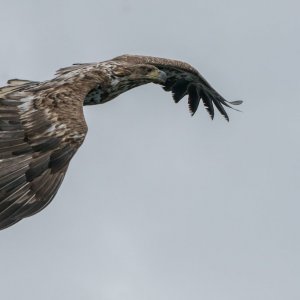 20180612DSC06032