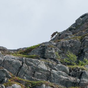 20180615DSC07657