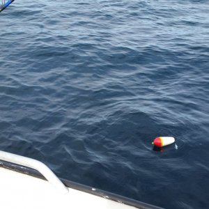 20180807_164738