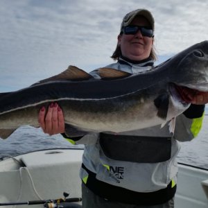 IMG-20180807-WA0023