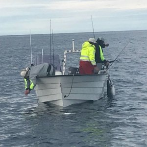 IMG-20180808-WA0012