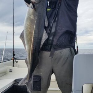 IMG-20180808-WA0021