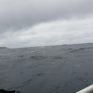 IMG-20180812-WA0030