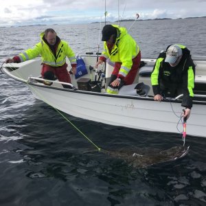 IMG-20180814-WA0044