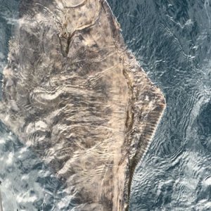 IMG-20180814-WA0005