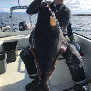 IMG-20180815-WA0026
