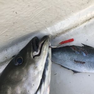 IMG-20180815-WA0024