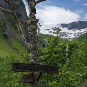 _DSC3376-Bearbeitet