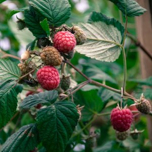 _DSC3479-Bearbeitet