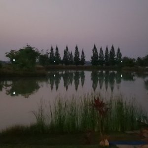 20190204_183937