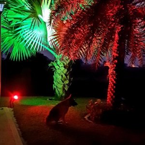 20190204_184105