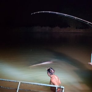 20190205_195217